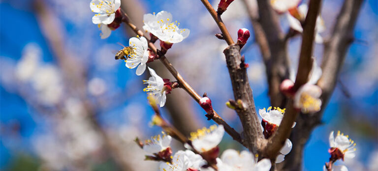 b1752a36e40c8d6df874367a4f2306e6