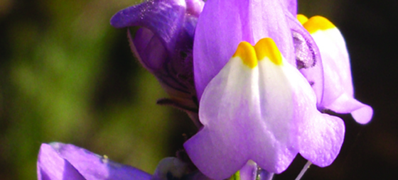 b176d2f72a5ae78427dd30578ccb1e97