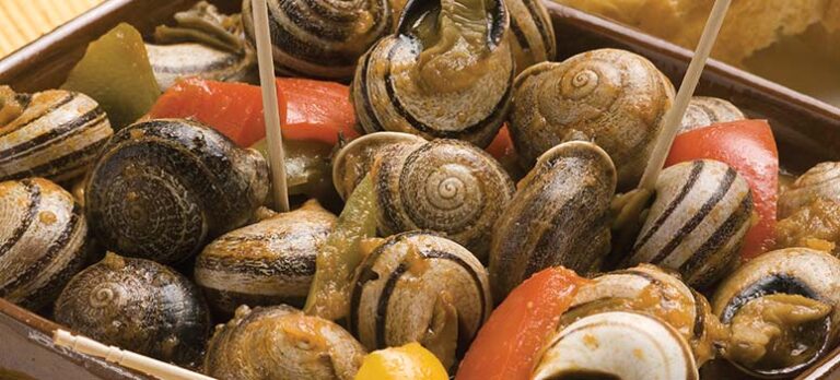 b68a15b9f8f3a095d61e0ecf4488cefb