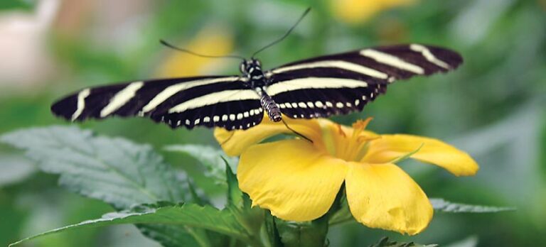 be93ad4bb09ba3b11d29f4452003b3b9