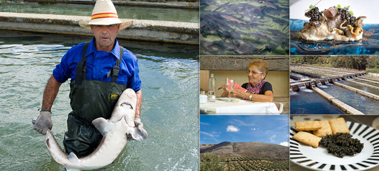 c5c5f5d8a83380b32a0d41705ad447e8