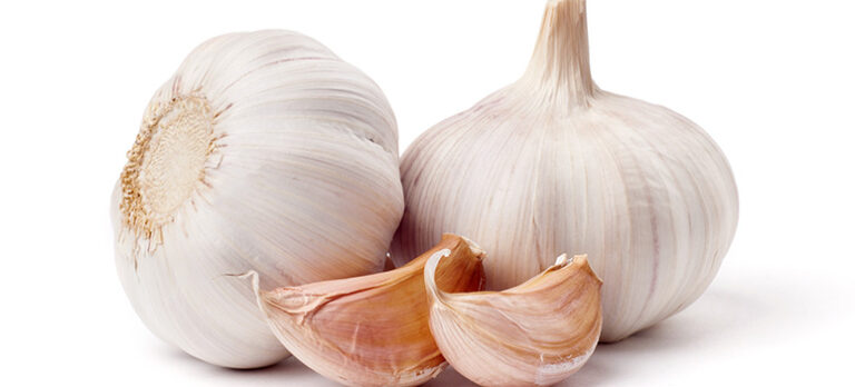 d26726927c500dc1171b80e02045e7be