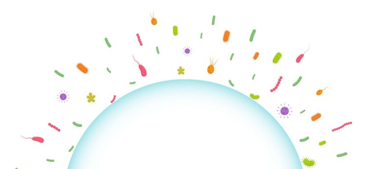 d2fde7577d4c9b3a5c15d90527e2dccb