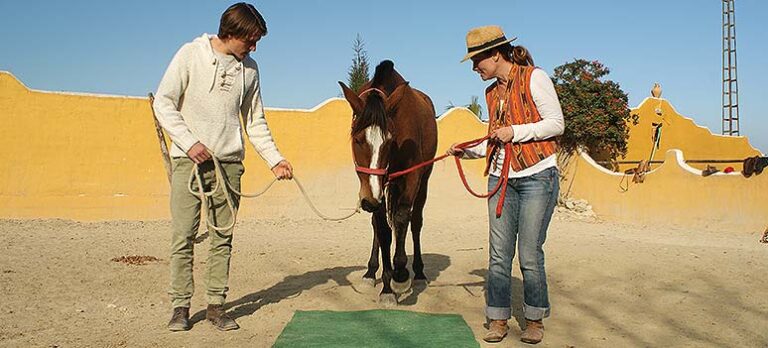 d487aa69971fcc0ec1756c820e6fe47f