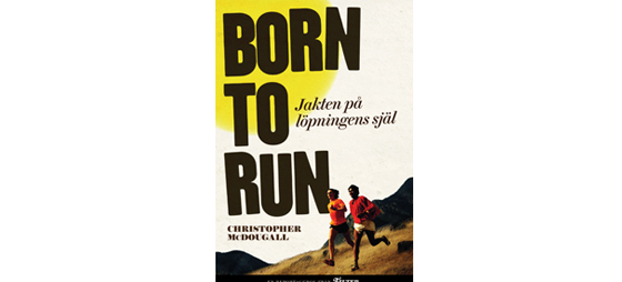 d582c0e6dbf3ab86fb1068c54210da72