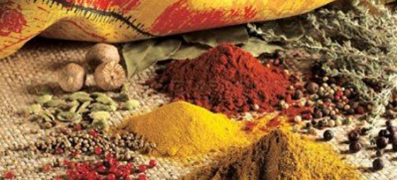 d732c1b2442647c4a6ca06cb21cc91fe