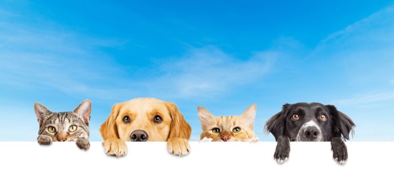 d7d701d7f0157fd032c25ce95bab1250