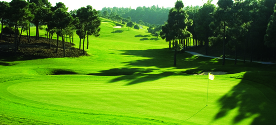 d84cac7648034a0dca1d44c96aa0bb99