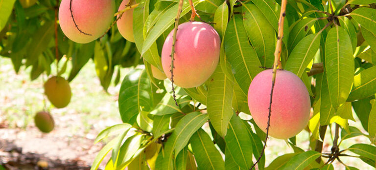 df5d634cd0605d1d2d2f84446c75dd60