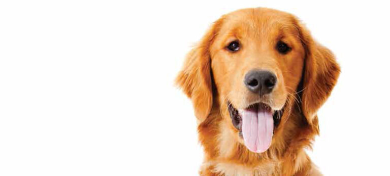 e0904b384a01159a9cf962e2986befa5