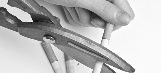 e2b513726d23fa332d3bcdd6ec57cb31