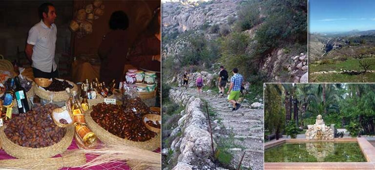 e2f0eb50ba77e32414ae33dad69a4f90