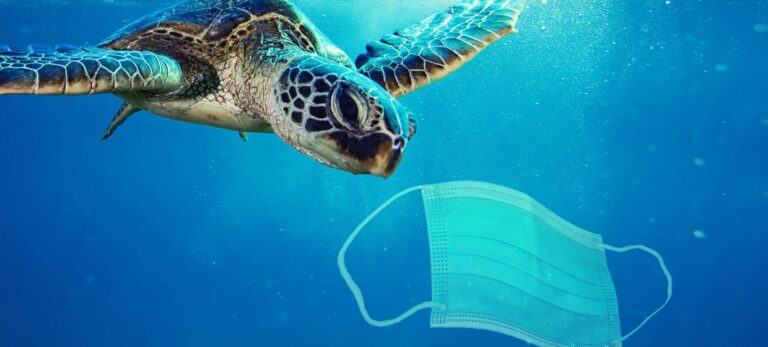 e3387d96999552dc00c377254d184611