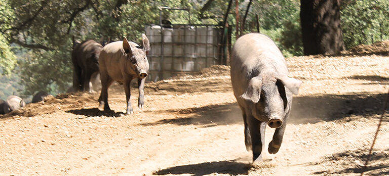 e7dba3998d5891dcb27b0f4debe2d354