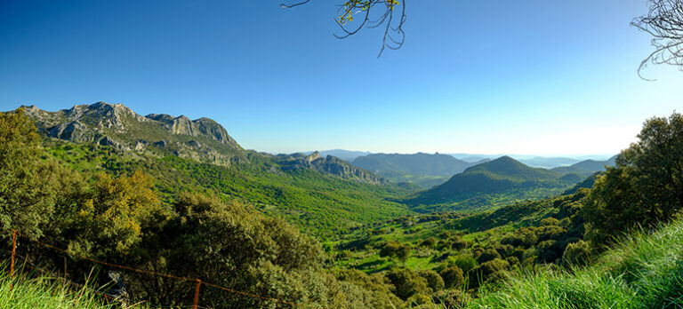 e89138da0a7c92e8f6b14bd885e66b07