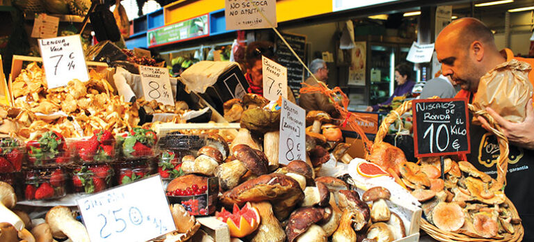 eed66ef43bba67897ef2e3f46e409834