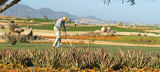 ef2791ae00d1dde95c3ef2c5221975b7