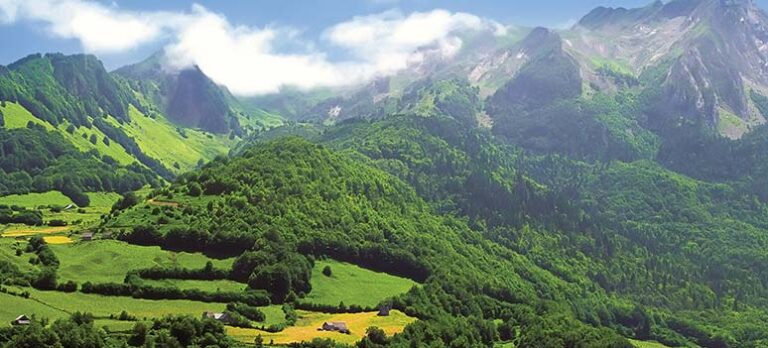 ef625dade1a301fd00dbd3c816b67bb5