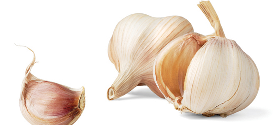 f3b631d960cbe3a28ac79c099136b021