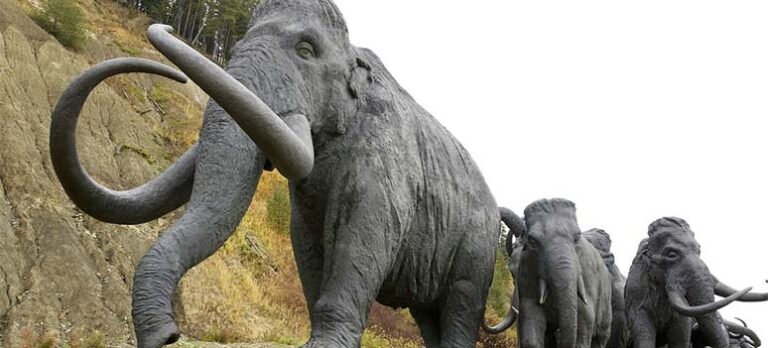 fb675097693a93ff920cab71a799abe8