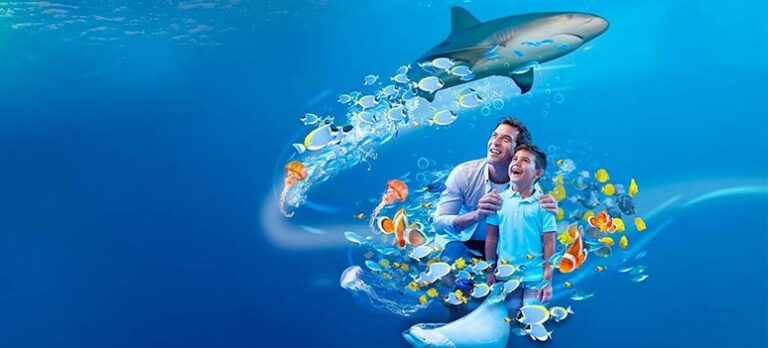 fc4e23d5e63cfe7a9c86cca7a2c1781d