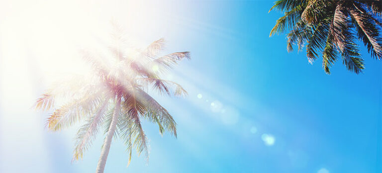 fd25594e45d0aca3d2460fb6f703efa2