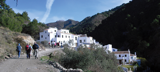 fd94a8d346518fa13044727f18bad215