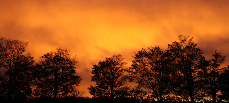 ildebrand estepona2019C