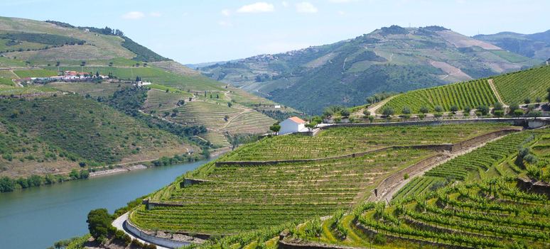 shutterstock 104780450