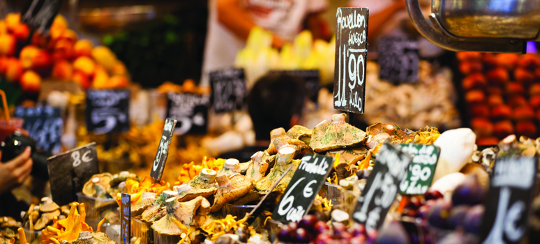 shutterstock 156986705