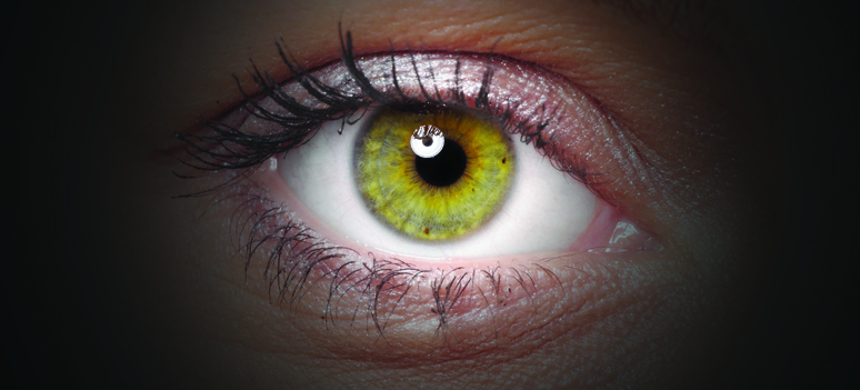 shutterstock 72096667 black