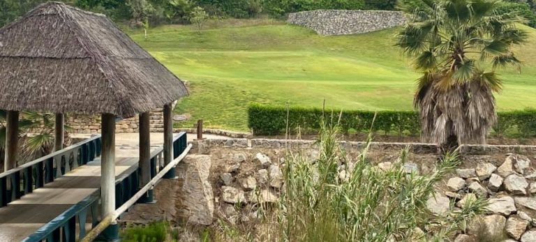 9239ff3de5ae9047ffa32d7d74ff1059