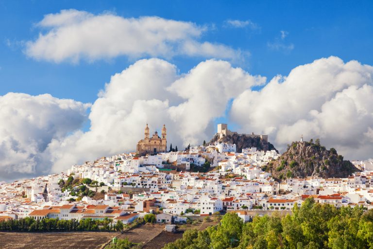 Olvera-