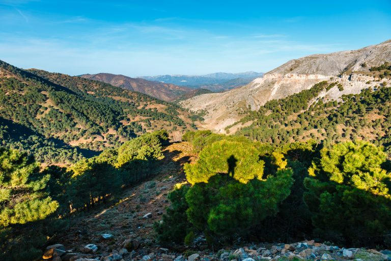 Beautiful,Mountain,Landscape,Of,Sierra,De,Las,Nieves,,Andalusia,,Spain