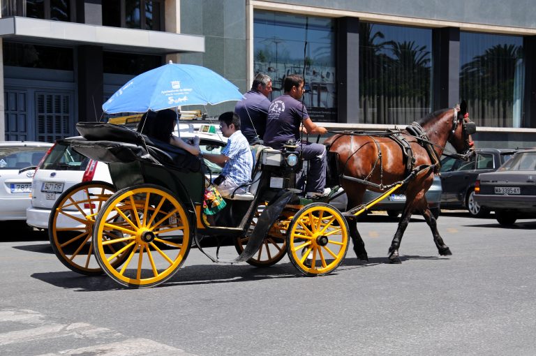 Malaga,,Spain,-,June,14,,2011,-,Horse,Drawn,Carriage
