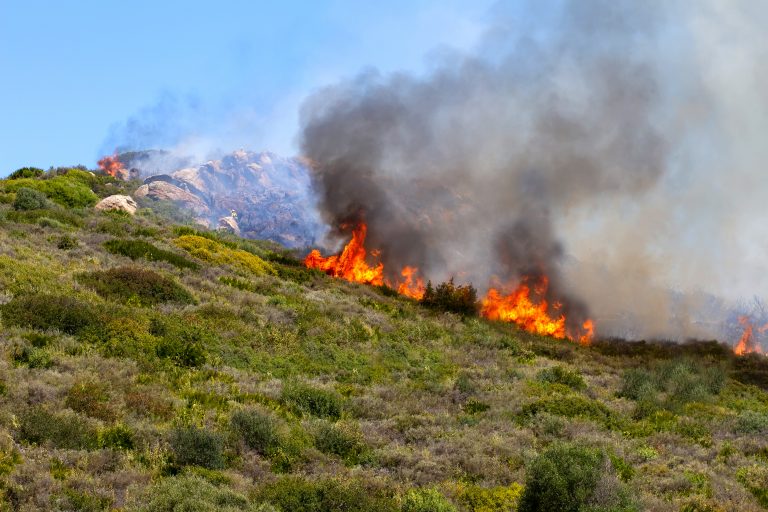 A,Powerful,Fire,Spreads,Through,The,Hillside