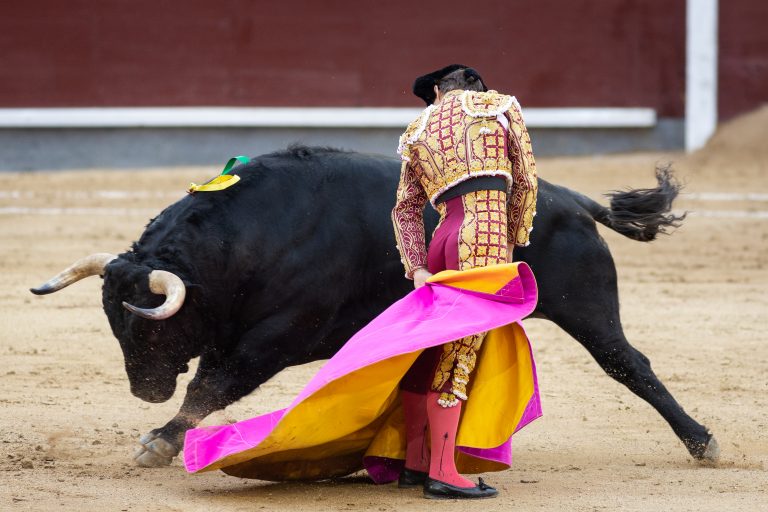 Bullfighter,In,Front,Of,Fighting,Bull