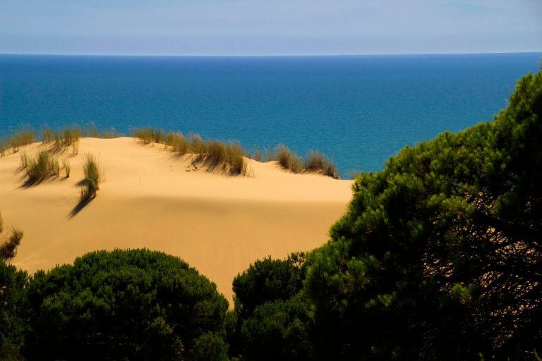 Dunes,Of,The,Coast,Of,Huelva,,Spain,This,Dune,Changes