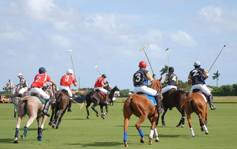 Wellington,,Fl,-,November,8:,Polo,Teams,Audi,And,Grand