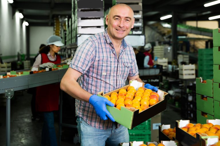 Portrait,Of,Happy,Male,Worker,Loading,Boxes,Of,Apricots,At