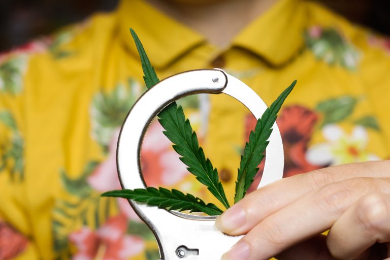 Person,In,Yellow,Fun,Shirt,In,Handcuffs,Holding,Hemp,Leaf