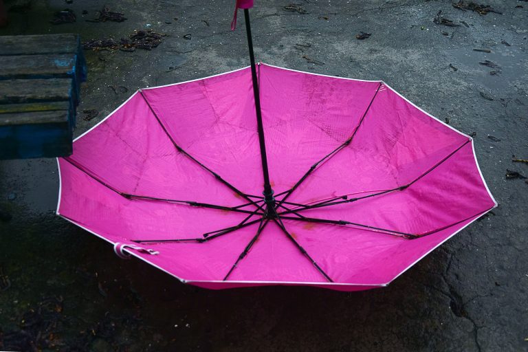 Umbrella,After,The,Rain,Fell,On,The,Earth,Lonely,And