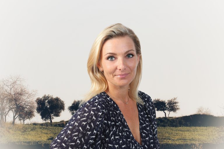 Olive,Trees,On,The,Hill,In,Spring