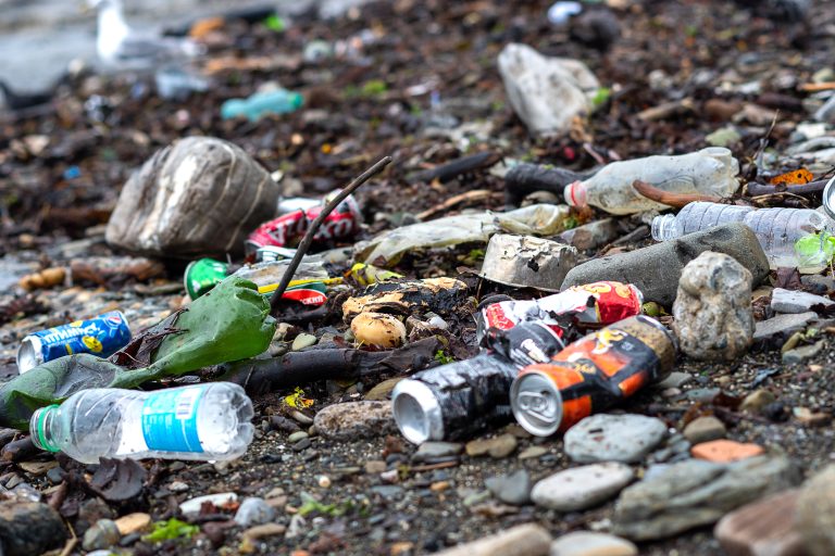 Sochi,,Russia,-,Aug13,,2021:,Garbage,And,Plastic,Bottles,On