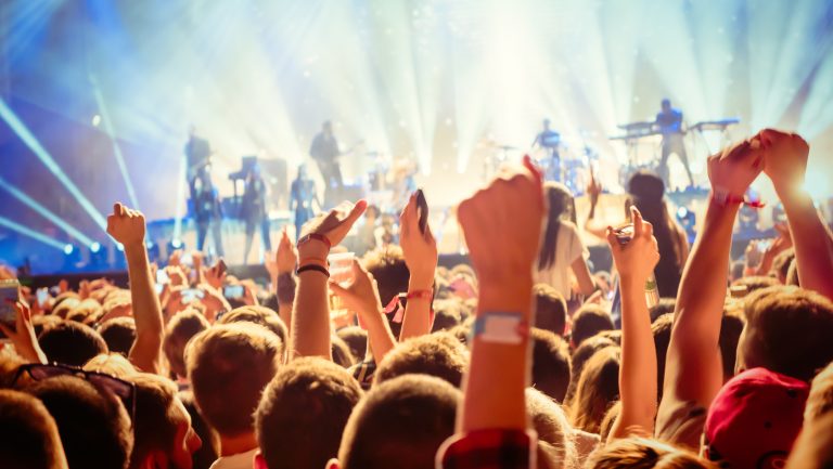 Party,People,Enjoy,Concert,At,Festival