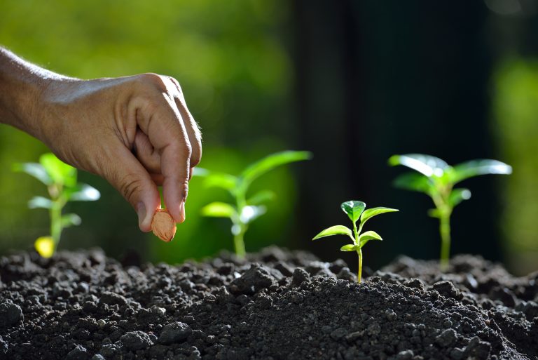 Farmer's,Hand,Planting,A,Seed,In,Soil