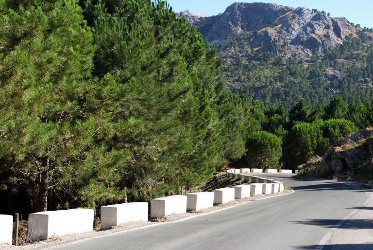 Winding,Road,Through,The,Mountains,And,Countryside,Of,The,Sierra