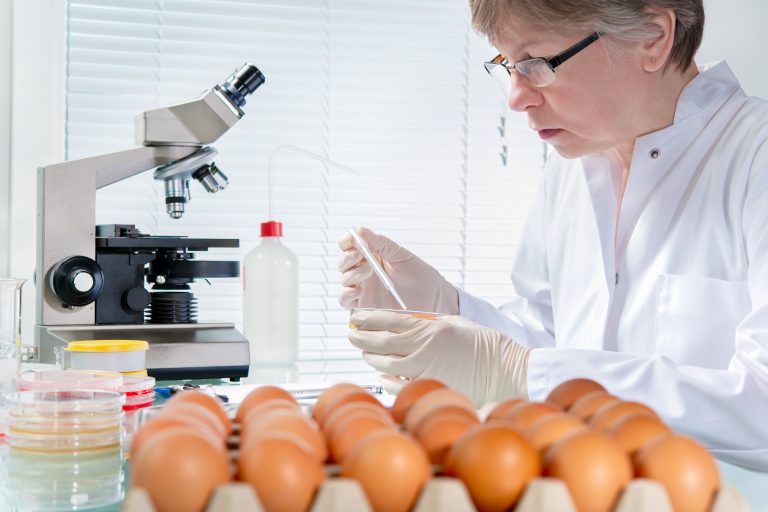 Quality,Control,Expert,Inspecting,At,Chicken,Eggs,In,The,Laboratory