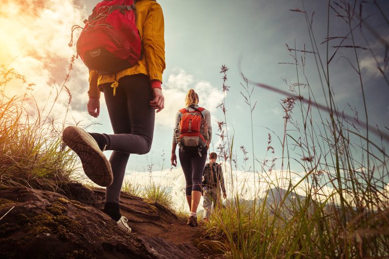 Hikers,With,Backpacks,Walking,In,Mountains,At,Sunny,Day