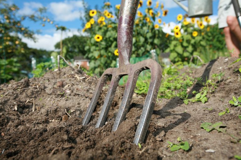 Shot,Of,Digging,At,Allotment,On,A,Bright,Summers,Day